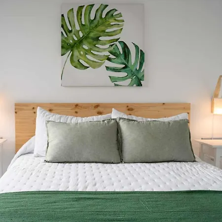 Apartment Monstera De Lujo A 500m De Playa Dorada Wifi Rapido *